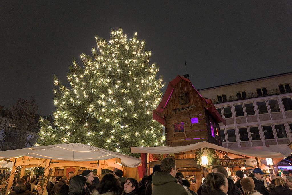 Monatsrückblick Dezember 2025 – Tausend freie Fotos die Zweite